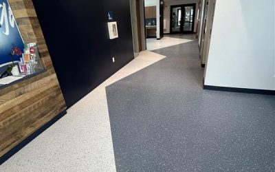 5e6df97f-2adf-4dda-bc95-0973d917b075.jpg