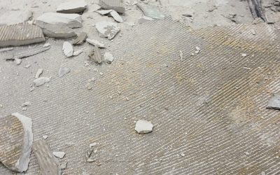 Demo-Image-4-scaled-1.jpg